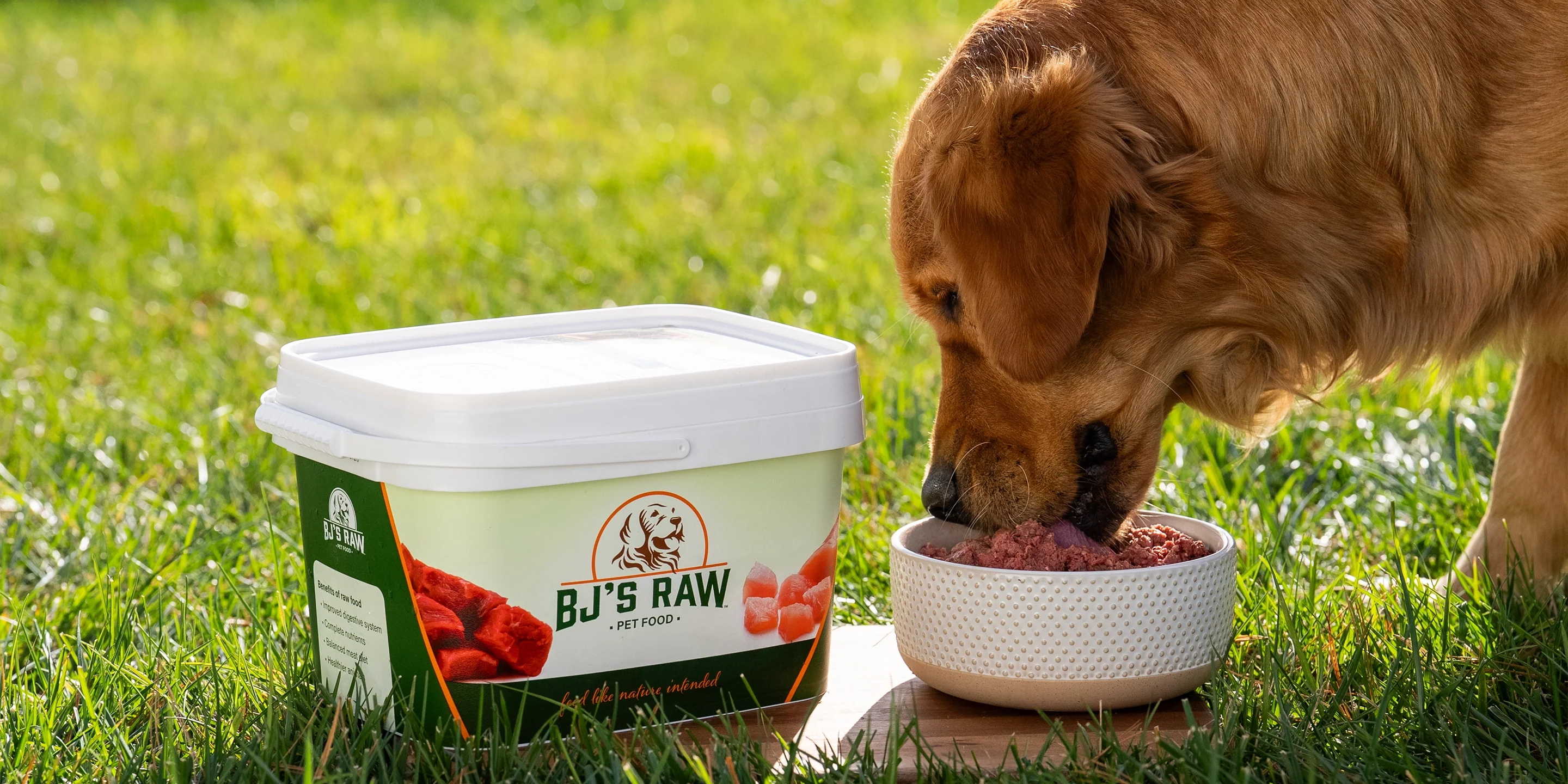 Fresh Raw Meals Delivered Frozen