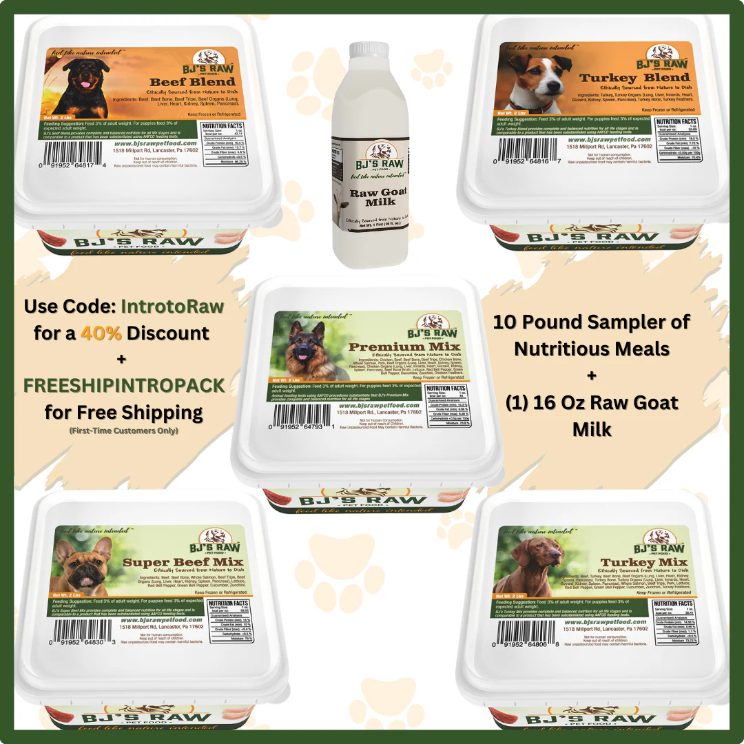 New Releases for Dogs